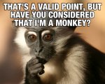 just-admit-im-right-you-stupid-monkey.jpg